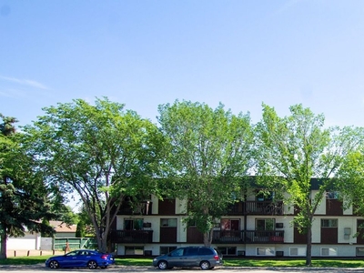 Saskatoon Pet Friendly Apartment For Rent | Massey Place | Spring is on the Horizon