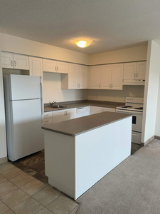Cedar Creek - Unit 410 Apartment for Rent