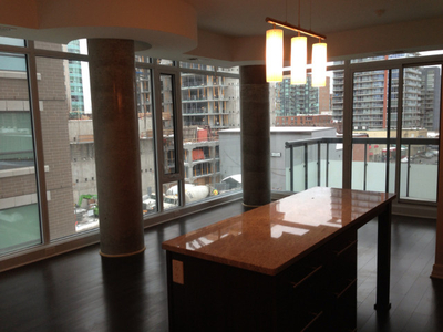 Luxury 2 bedrooms, 2 full bathrooms condo at downtown Ottawa