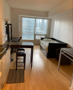 Bachelor/Studio for rent, at Yonge and Bloor, 6 months term max