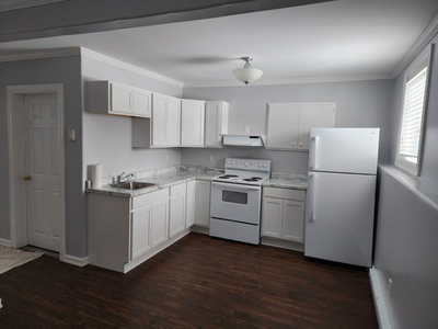 Newly Renovated 2 bedroom basement Apt avail in Deer Lake, NL