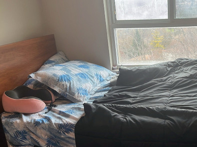 Room available for a girl from jan near conestoga doon campus