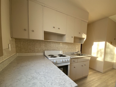 Edmonton Pet Friendly Apartment For Rent | Downtown | Downtown view and conveniently located