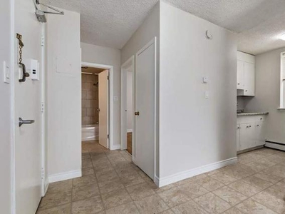 1 Bedroom Apartment Unit Saskatoon SK For Rent At 1423