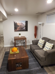 Calgary Basement For Rent | Mount Pleasant | Fully Furnished Inner-City Lower Suite