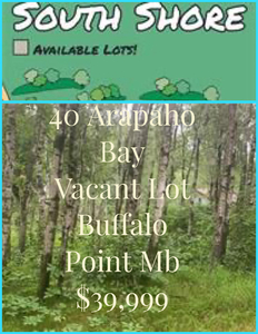 Vacant Lot Lake of Woods ( Buffalo point mb )