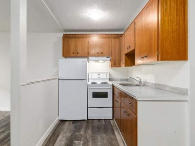 1 Bedroom Apartment Unit Regina SK For Rent At 1085