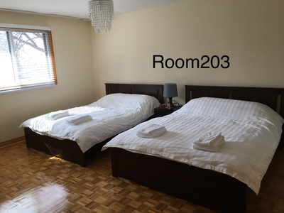Airbnb rooms for rent available now