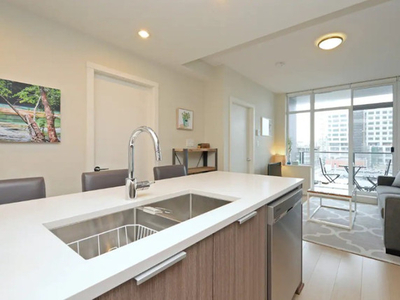 Beautiful Furnished 1 BR Downtown Condo in Era Building