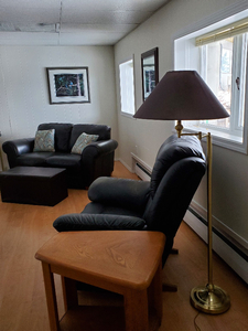 Furnished one bedroom basement suite, central location