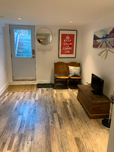 Gorgeous One Bedroom Basement: Pape and Danforth