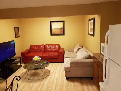 Large legal Furnished Basement 2 bedrooms suite in Skyview Ranch
