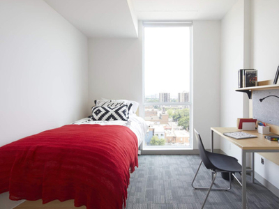 Luxury Student Rentals in Hamilton for Young Adults