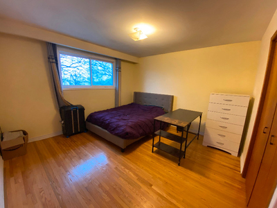 North York spacious bedroom for rent