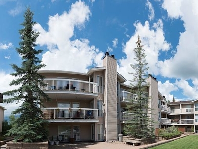 Calgary Apartment For Rent | Midnapore | Large bright & renovated 1