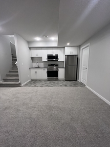Edmonton Pet Friendly Basement For Rent | Rosenthal | Nice one bedroom legal basement