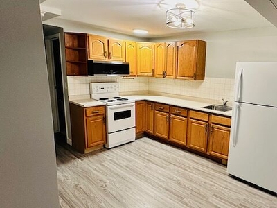 Calgary Pet Friendly Basement For Rent | Bridgeland | Nicely Updated | Spaces Unit